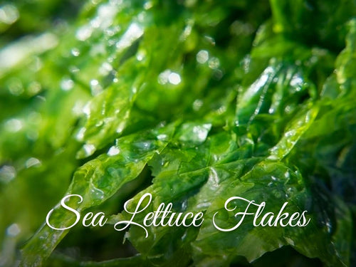 La Pink Sea Lettuce Flakes Ingredient Collection - 100% Microplastic Free Products